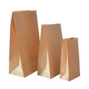 Flat Brown Takeaway Kraft Paper Bag