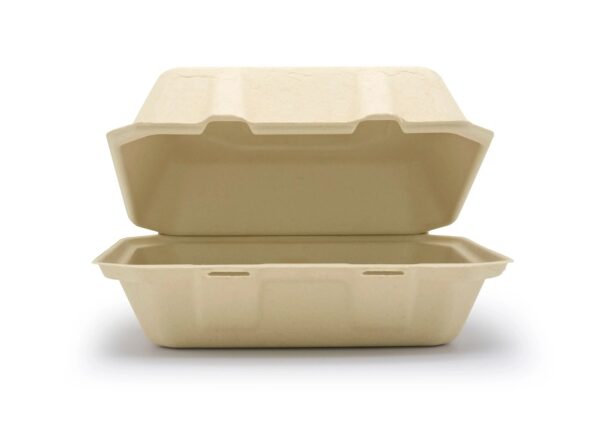 Sugarcane Bagasse Clamshell Takeaway Boxes - Biogreenbox