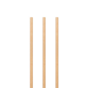 Sugarcane fiber jumbo straw