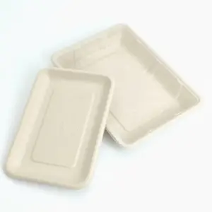 Sugarcane Bagasse Rectangular Tray