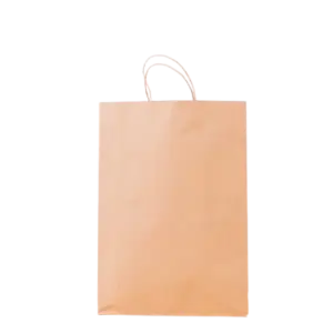Handled Paper Shopping Bag 240*170*270mm